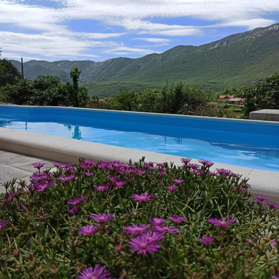 Holiday Village Home Kamenica Kostanje Dış mekan fotoğraf